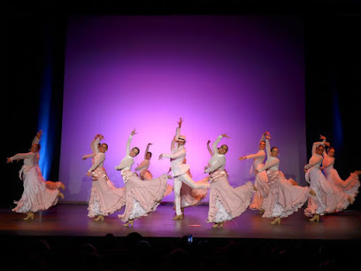 Escuela de baile Andanzas: Pasión y ritmo en movimiento ¡Aprende a bailar en Fuengirola con la Academia Alicia Iranzo!