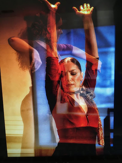 ¡Aprende a bailar en DANCEANDO