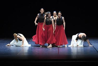 ¡Baila con pasión en DanceCraft Girona!