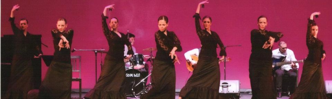 Escuela de baile Danza Karel en Oviedo