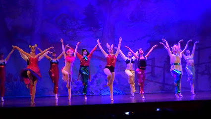 Escuela de baile Andanzas: Pasión y ritmo en movimiento Danza Susana Castro: ¡Vive la magia del baile en Vigo!