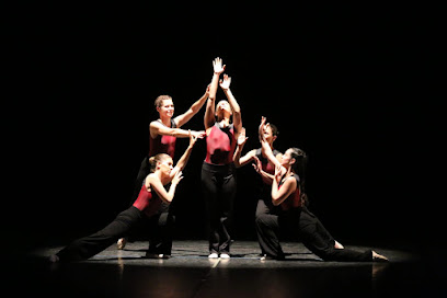 ¡Aprende a bailar en Sabadell con Driss Danza!
