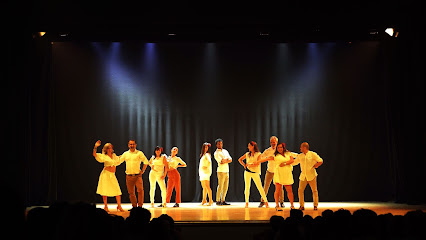 Escuela de baile Andanzas: Pasión y ritmo en movimiento ¡Siente el ritmo en Galidancia