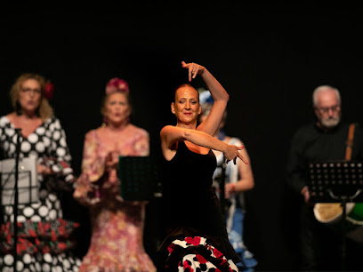 ¡Siente el ritmo en la Academia de Baile Luisa Piquer en Burriana!