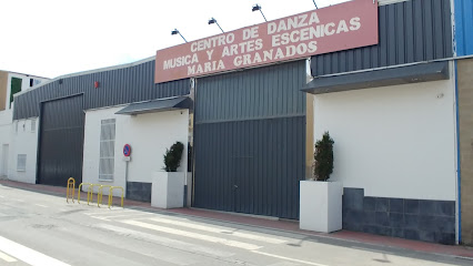 Escuela de baile Andanzas: Pasión y ritmo en movimiento ¡Siente el ritmo en la Academia María Granados de Granada!