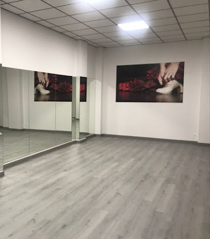 Escuela de baile Andanzas: Pasión y ritmo en movimiento ¡Aprende a bailar con estilo en Logroño!
