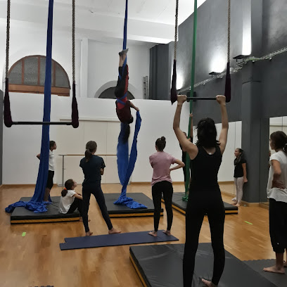 Escuela de baile Andanzas: Pasión y ritmo en movimiento ¡Siente el ritmo en Projecte Dansa