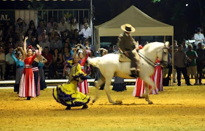 Escuela de baile Raquel Claramonte: pasión y elegancia