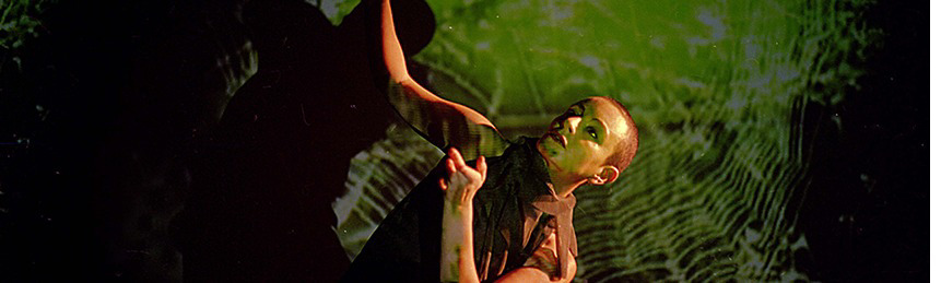Escuela de baile SCHINCA: Pasión y elegancia en movimiento