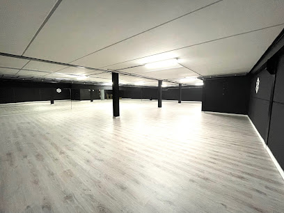 SÓCIETY DANCE STUDIO: ¡El ritmo de Talavera de la Reina!