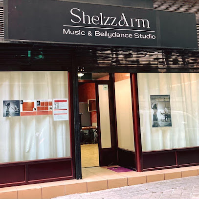¡Siente el ritmo en ShelzzArm