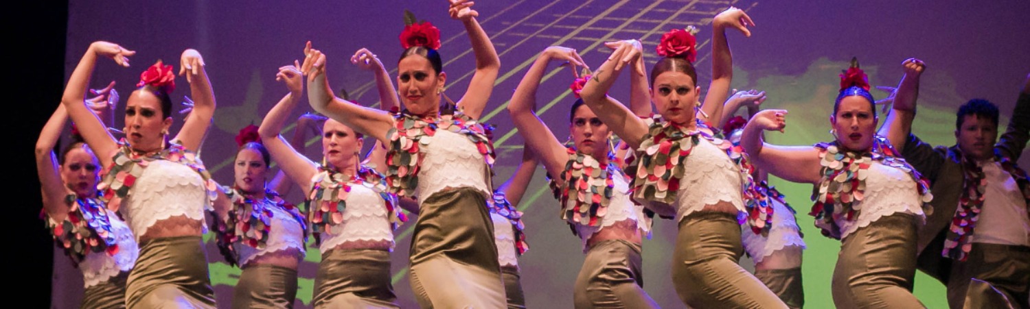 Escuela de baile Sofía Sánchez: pasión y ritmo