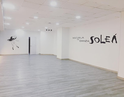 Escuela de baile Andanzas: Pasión y ritmo en movimiento ¡Siente la pasión del flamenco en Soleá