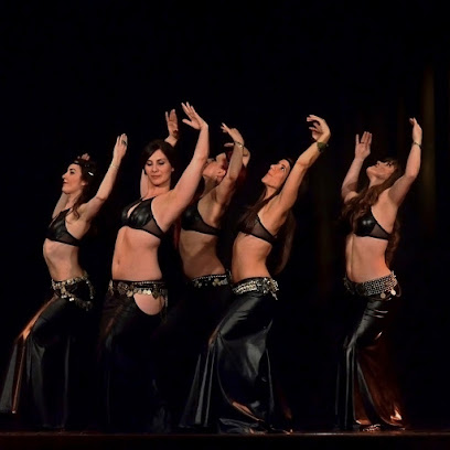 Escuela de baile Andanzas: Pasión y ritmo en movimiento ¡Descubre el ritmo en la Academia Sylvia Yssei!