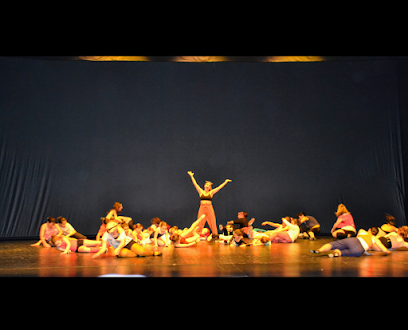 Escuela de baile Andanzas: Pasión y ritmo en movimiento ¡Descubre el ritmo en la Academia de Baile VICTORIA GIL en Lugo!