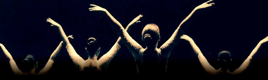 Escuela de baile Vaganova: excelencia en danza