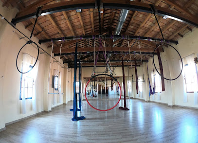 Descubre la magia del baile en Verticalfit Vic