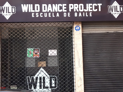 ¡Siente la pasión por el baile en Wild Dance Project Baracaldo!