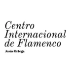 Escuela de baile Jesús Ortega: pasión y ritmo en movimiento