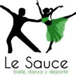 Escuela de baile Le Sauce Baile: ¡Aprende a bailar con pasión!