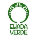 Escuela de baile El Hada Verde: aprende a bailar con estilo