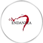 Logotipo de Endanzza