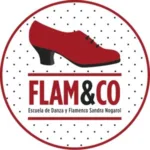 Escuela de baile FLAM&CO: Pasión y ritmo flamenco