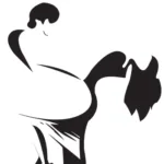 Inèdit Santa Coloma en Santa Coloma de Gramenet es una sala de baile reconocida por su ambiente latino y sus clases de salsa y bachata.